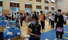 东安徐福集团最新爆料消息,最新项目动态与未来展望