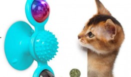 爆料宠物玩具视频,趣味互动，萌宠生活更精彩